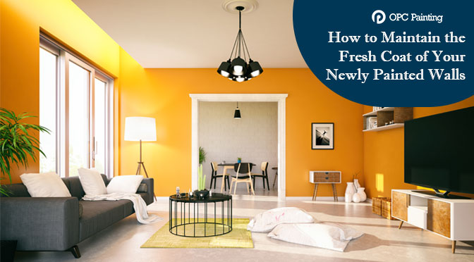 How to Maintain the Fresh Coat of Your Newly Painted Walls