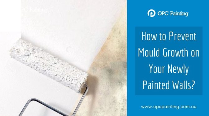 How to Prevent Mould Growth on Your Newly Painted Walls?